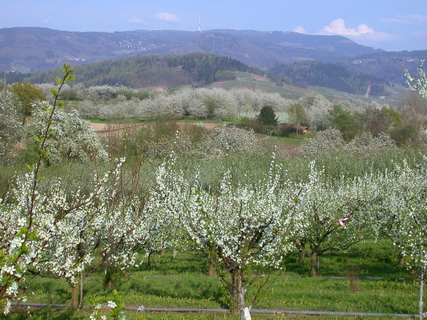 2.Bild zur Firmengeschichte von OGM Oberkirch